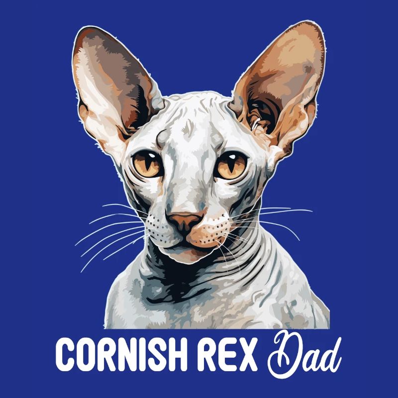 Chaton Cornish Rex Chat Cornish Rex