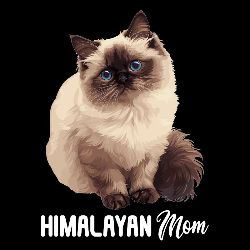 Chat de l’Himalaya Colourpoint Katze