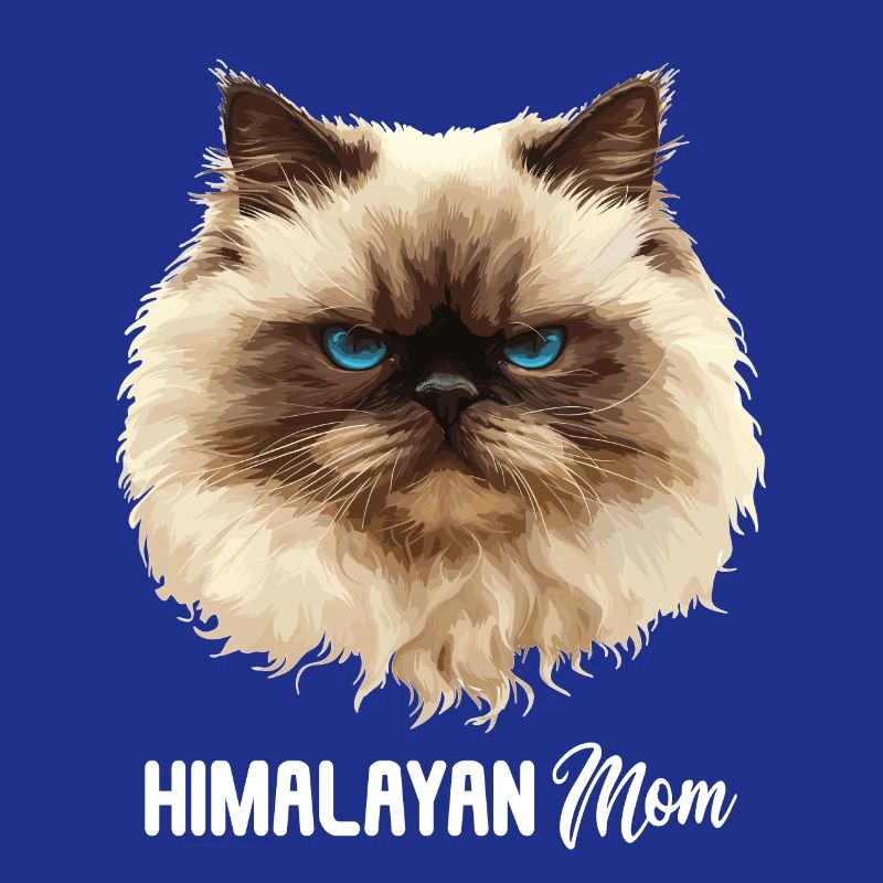 Himalayan Cat Colourpoint Katze