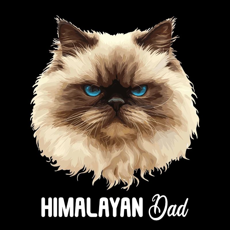 Chat de l’Himalaya Colourpoint Katze