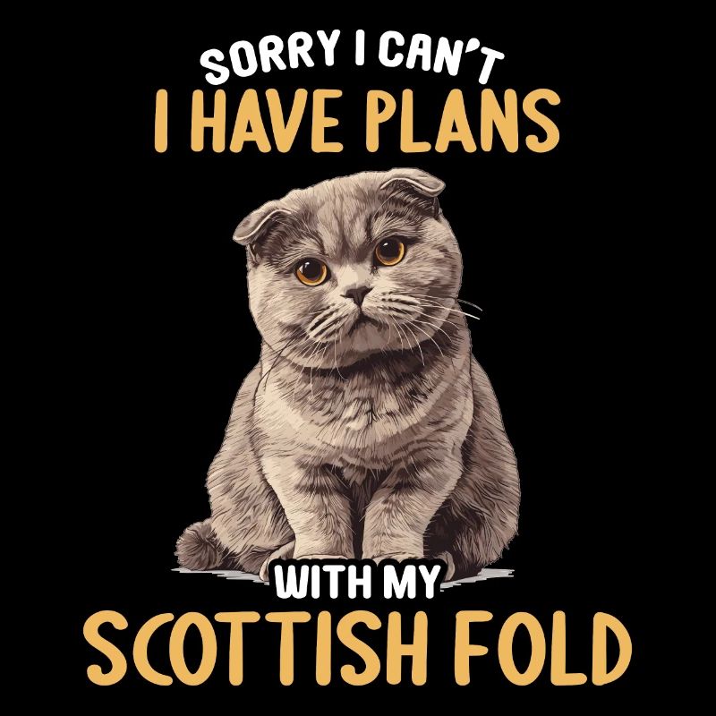 Scottish Fold Kätzchen Scottish Fold Katze