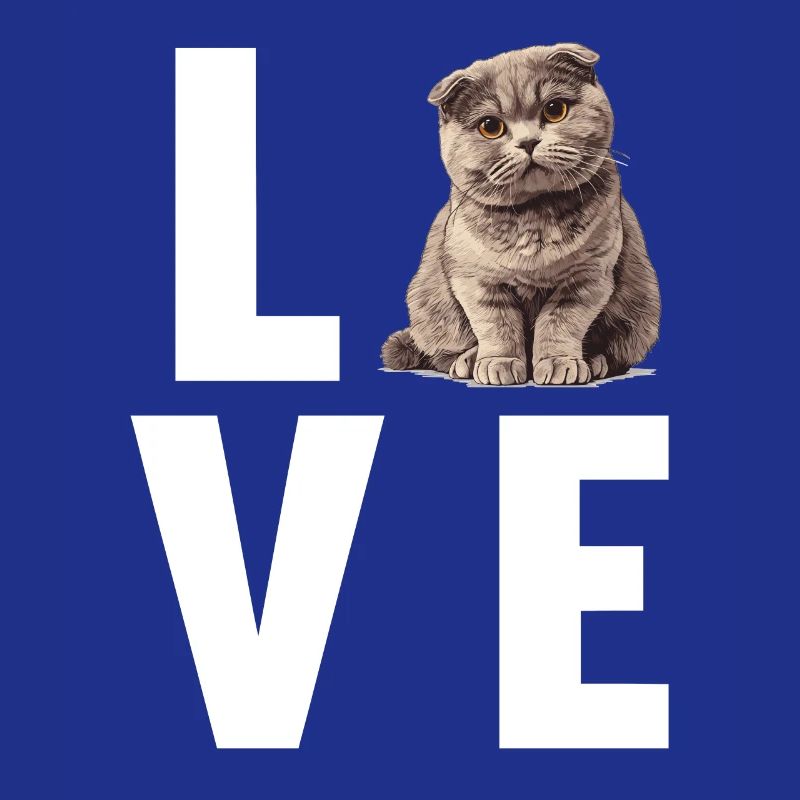 Scottish Fold Kitten Scottish Fold Cat