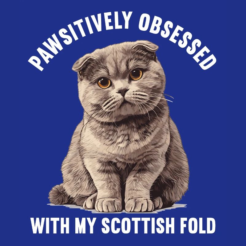 Scottish Fold Kätzchen Scottish Fold Katze