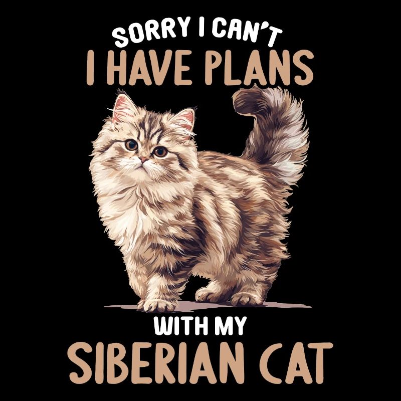 Chat Sibérien Sibirische Katze