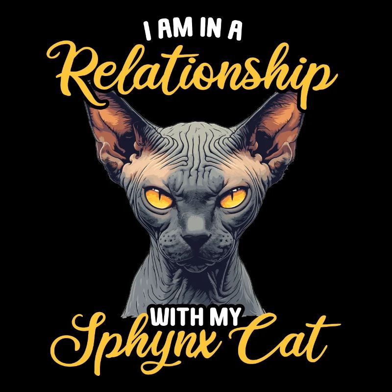 Chaton Sphynx Chat Sphynx