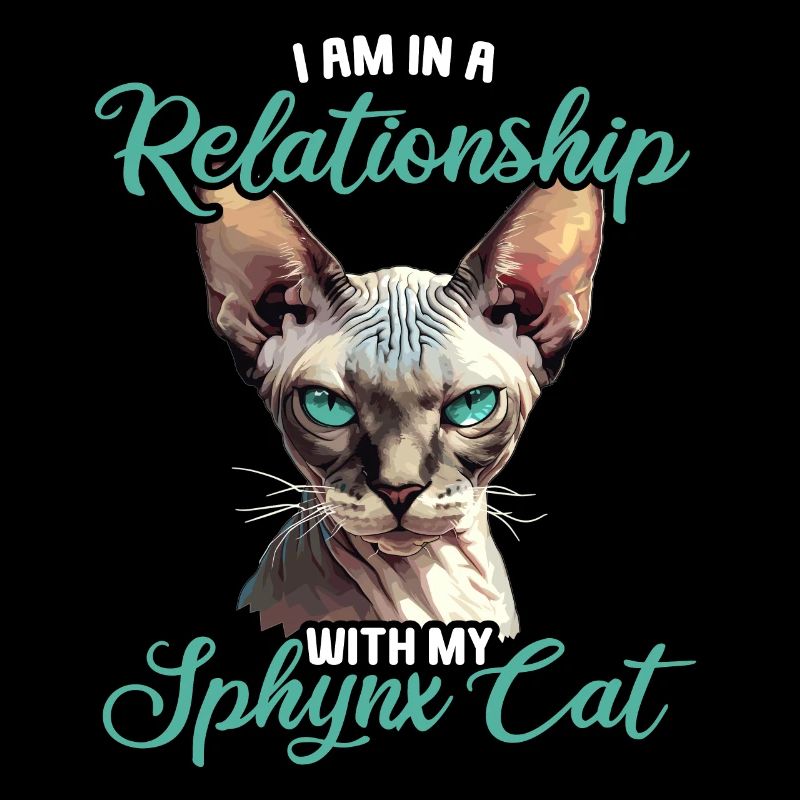 Chaton Sphynx Chat Sphynx