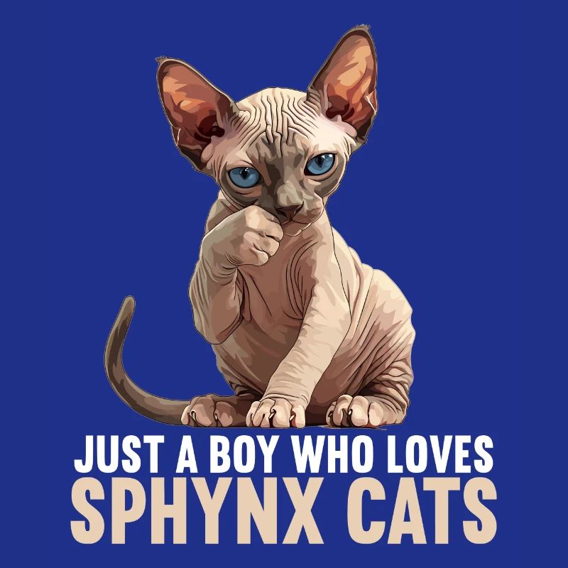 Chaton Sphynx Chat Sphynx