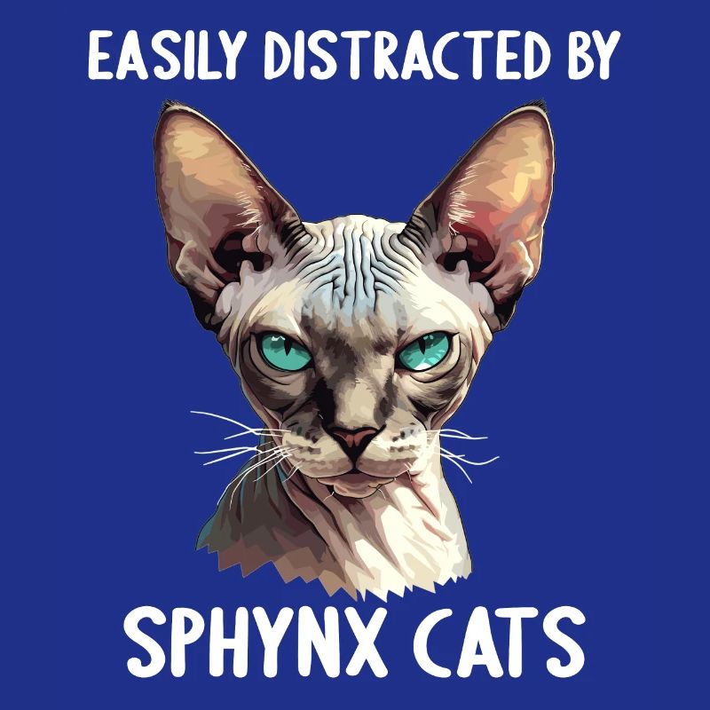 Chaton Sphynx Chat Sphynx