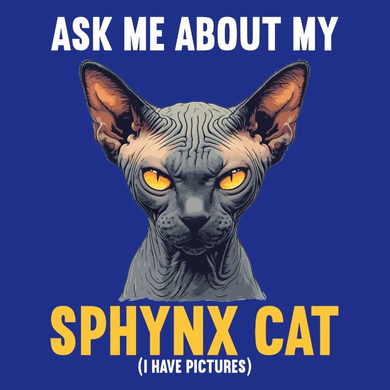 Sphynx Kitten Sphynx Cat