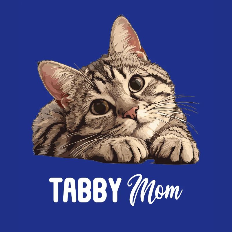 Tabby Kätzchen Tabby Katze