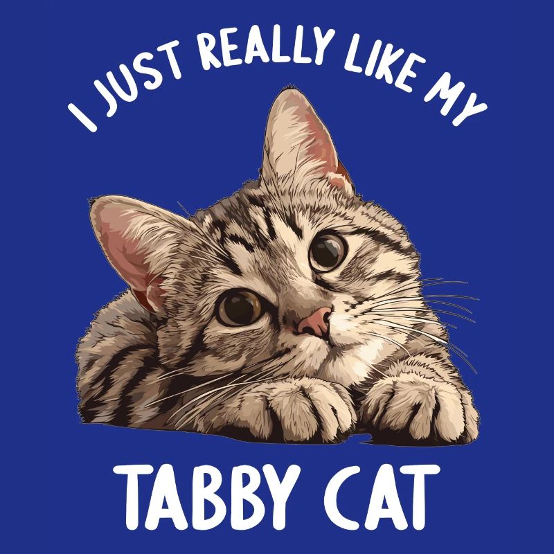 Tabby Kätzchen Tabby Katze