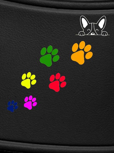 Dog paw prints
