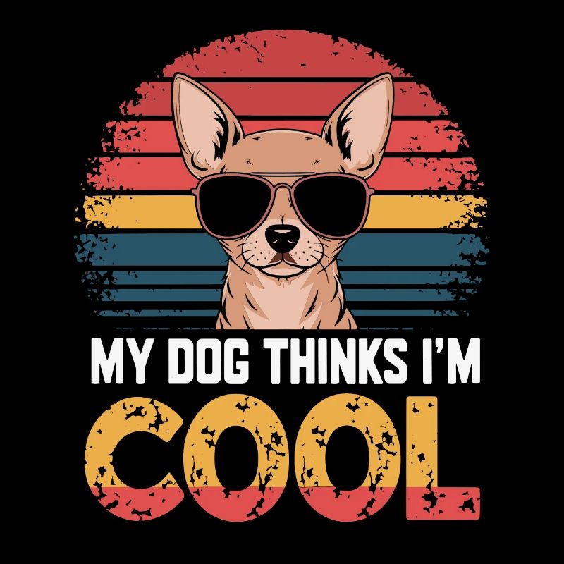 Chihuahua my dog thinks I'm cool