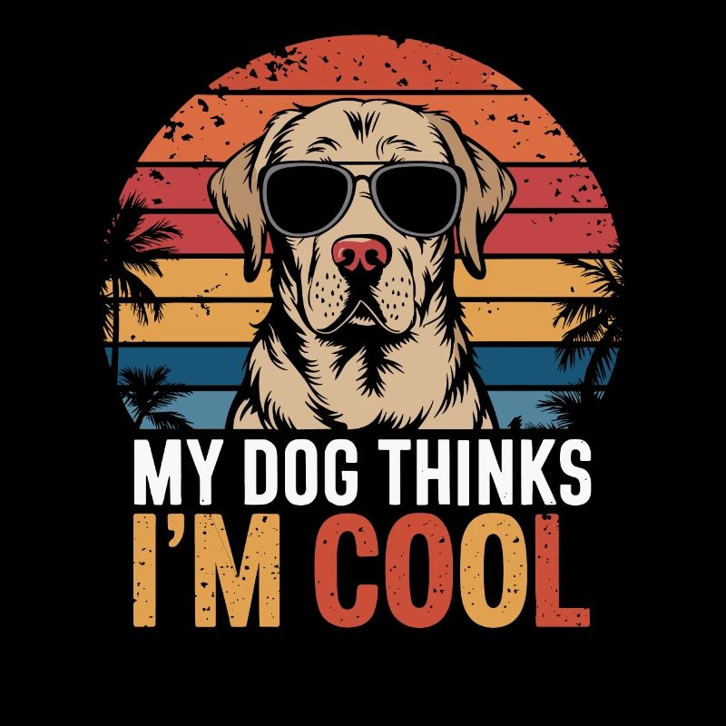 Labrador Retriever Mon chien pense que je suis cool