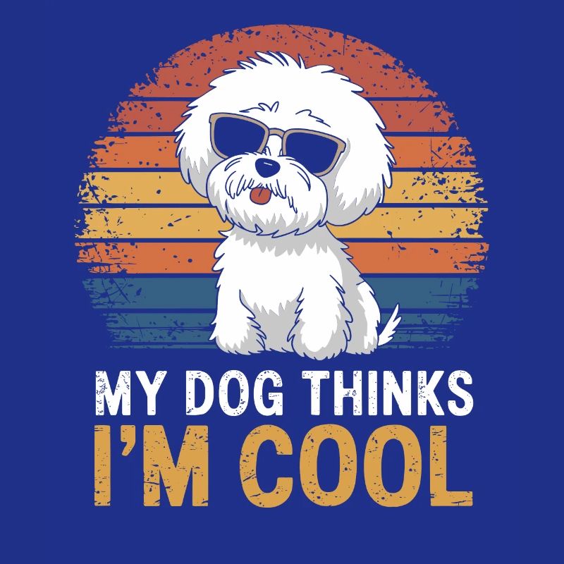 Bichon Frise My dog thinks I'm cool