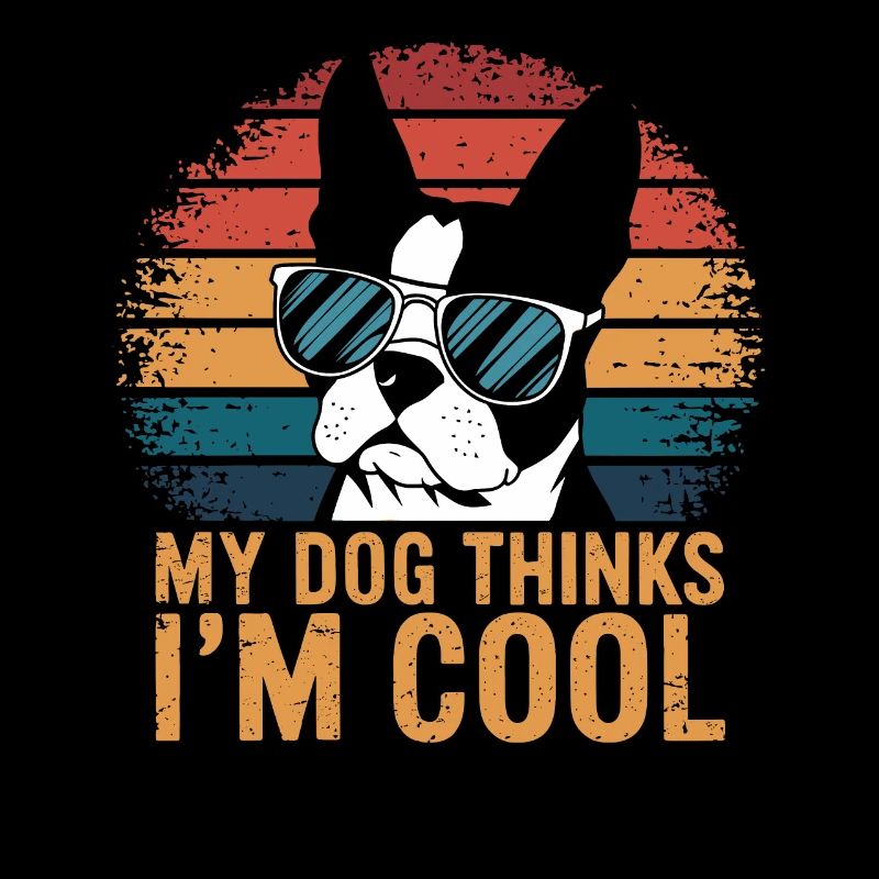 Boston Terrier Mon chien pense que je suis cool
