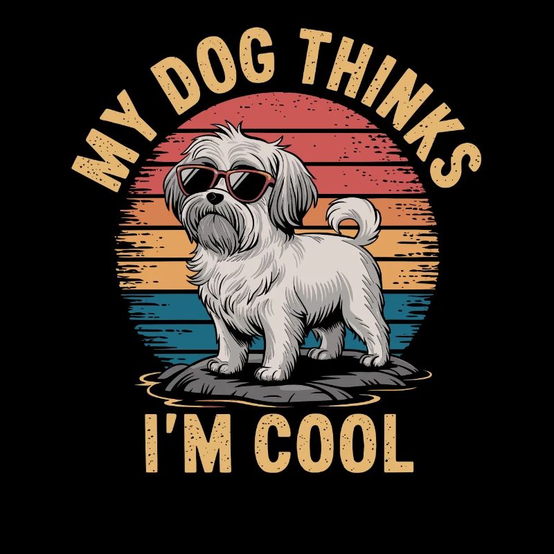 Maltese dog my dog thinks I'm cool