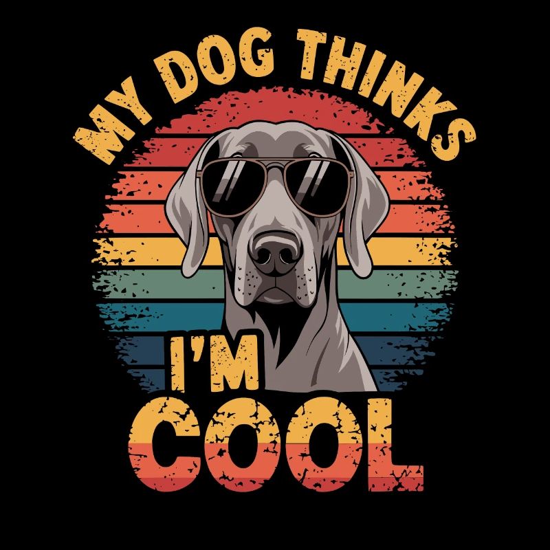 Braque de Weimar Mon chien pense que je suis cool