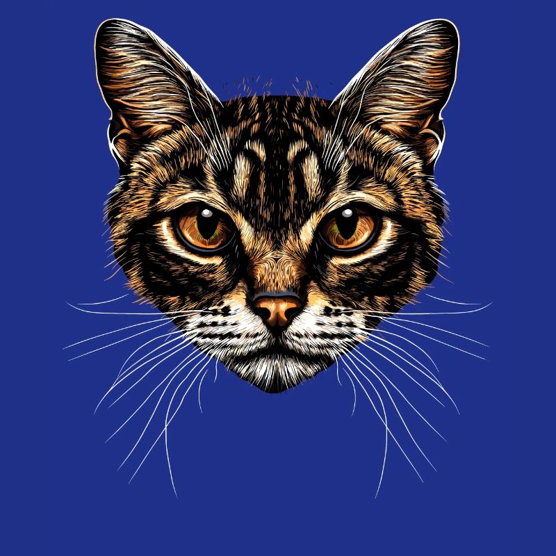 Chat Bengal Chat Léopard Chat Leopardette Chats Bengale