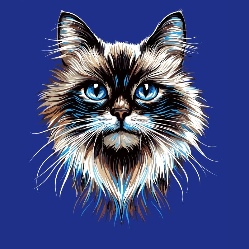 Chat Ragdoll Chat Ragdoll Chat Mignon Chats Ragdoll