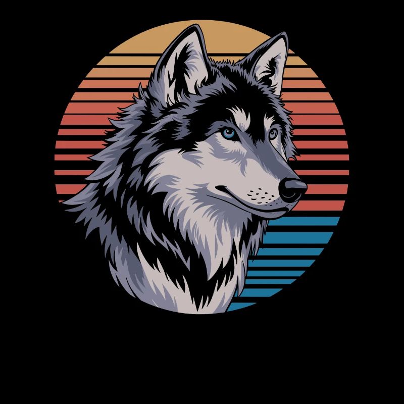 Loup majestueux avant le coucher du soleil