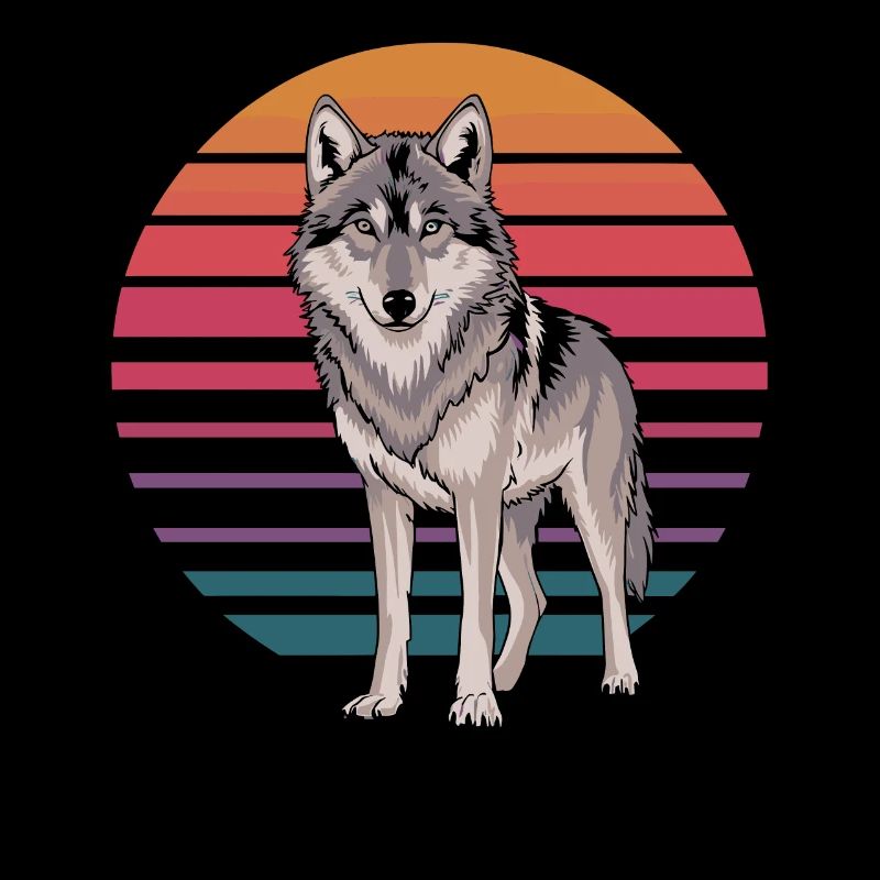 Loup rétro avant le coucher du soleil