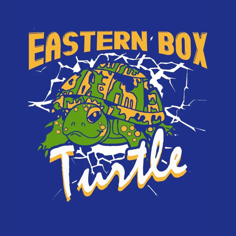 Eastern Box Turtle On Black