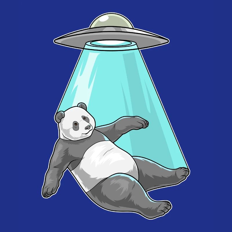 Vaisseau spatial Panda