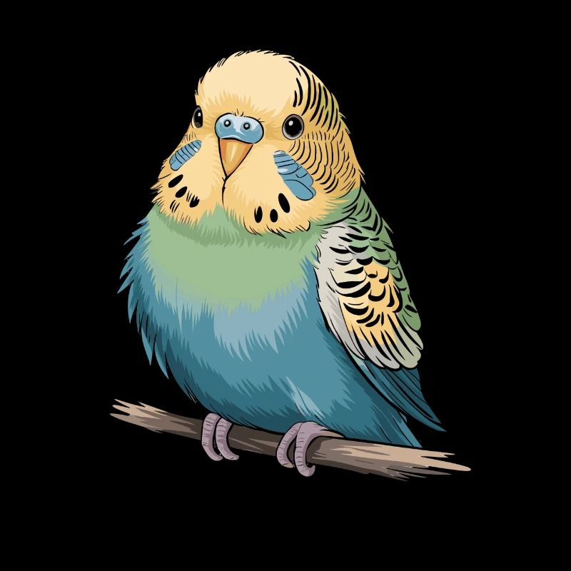 Colorful budgie on branch for