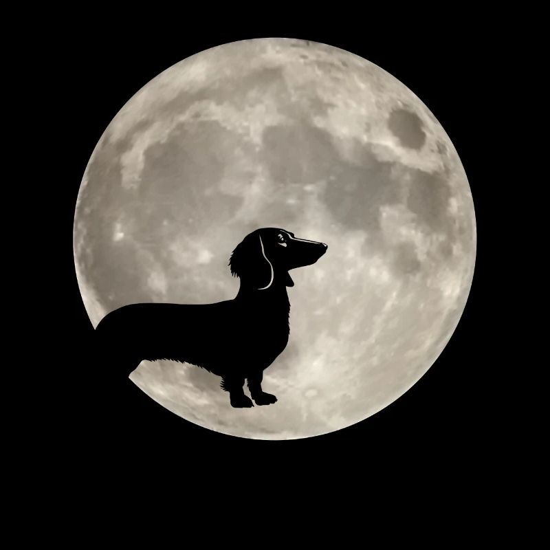 Moon Dog Dachshund