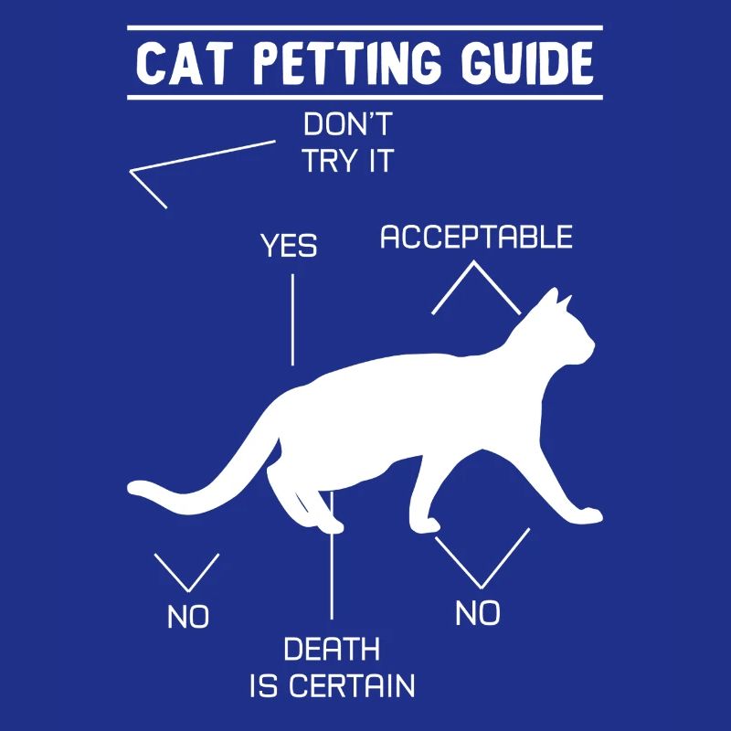 Guide de caresses pour chat
