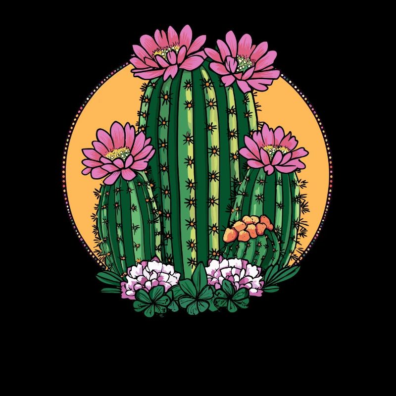 Blooming cactus in sunset