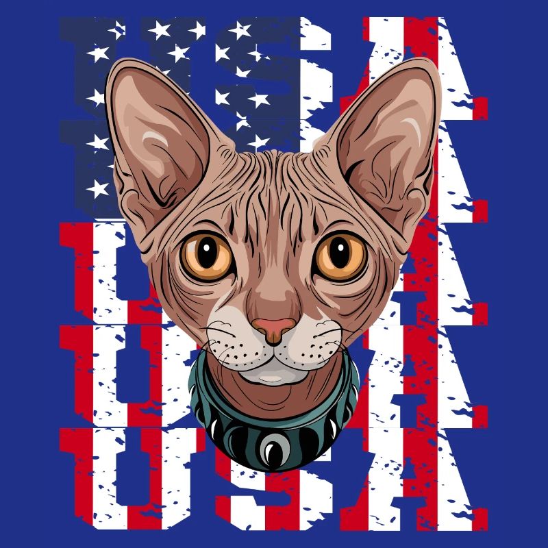 USA Chat Sphynx devant le drapeau