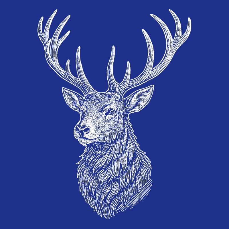 Cerf