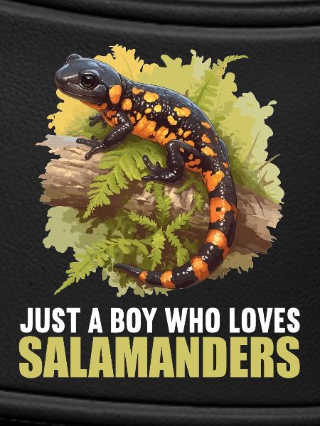 Salamanders Salamander