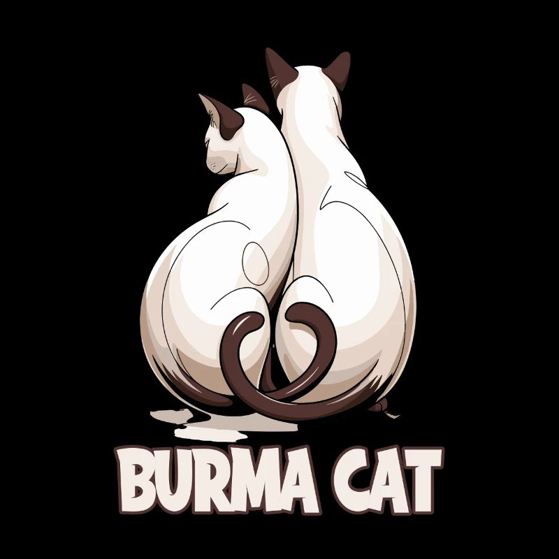 Chat de Birmanie aimant les chats Illustration pour