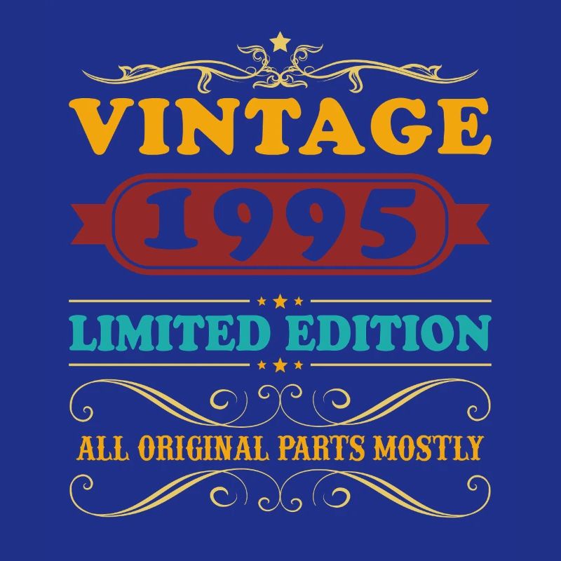 1995 Vintage Retro Geburtstagsgeschenk