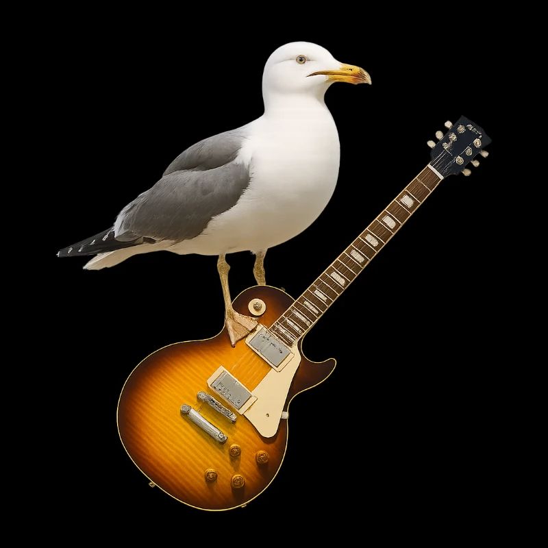 BBB Seagull Logo