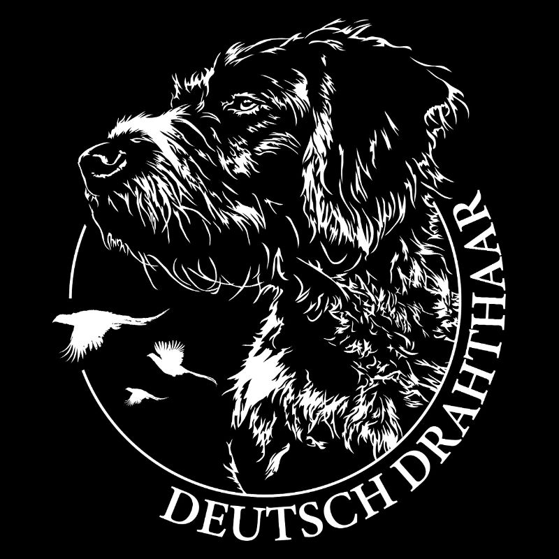 Deutsch Drahthaar Portrait Jagdhunde Wilsigns