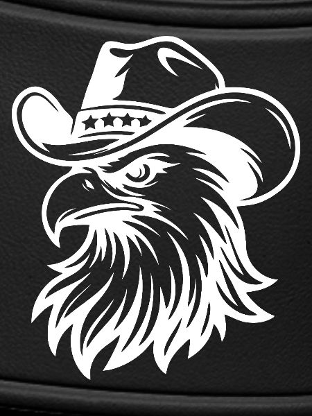 Patriotic Bald Eagle Illustration