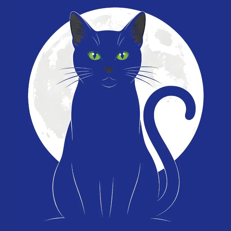 Black cat under the full moon