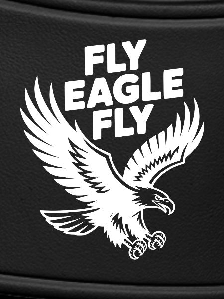 Fly Eagle Fly