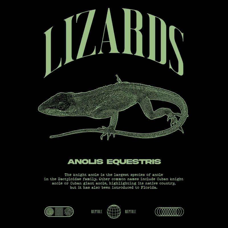 Cuban Knight Anole Reptile Keeper Lizard