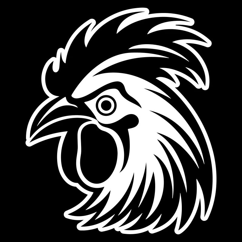 Rooster Animal