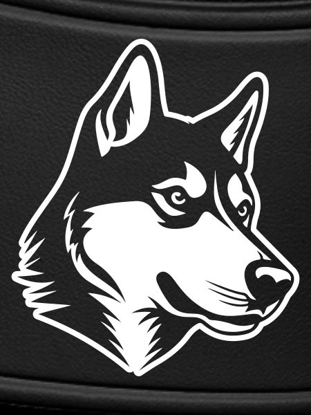 Husky Dog Head