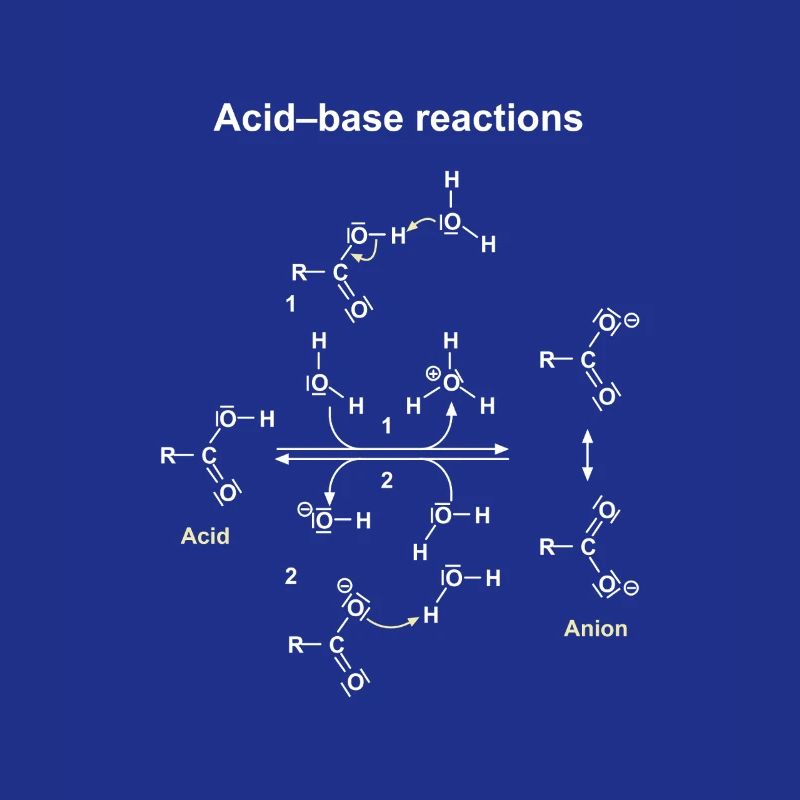 Réactions Acide Base Illustrées