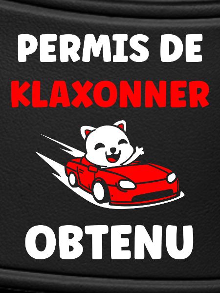 Junger Fahrer, Junger Fahrer, Führerschein