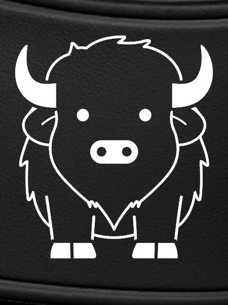 bison