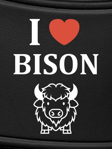bison