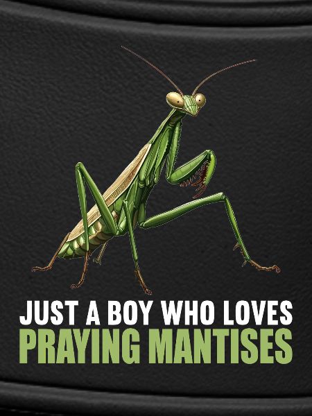 Praying mantises Praying mantis